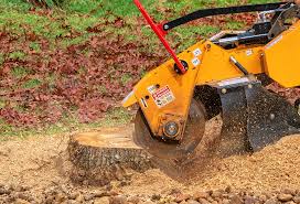 Mulching Services in Ward, AR